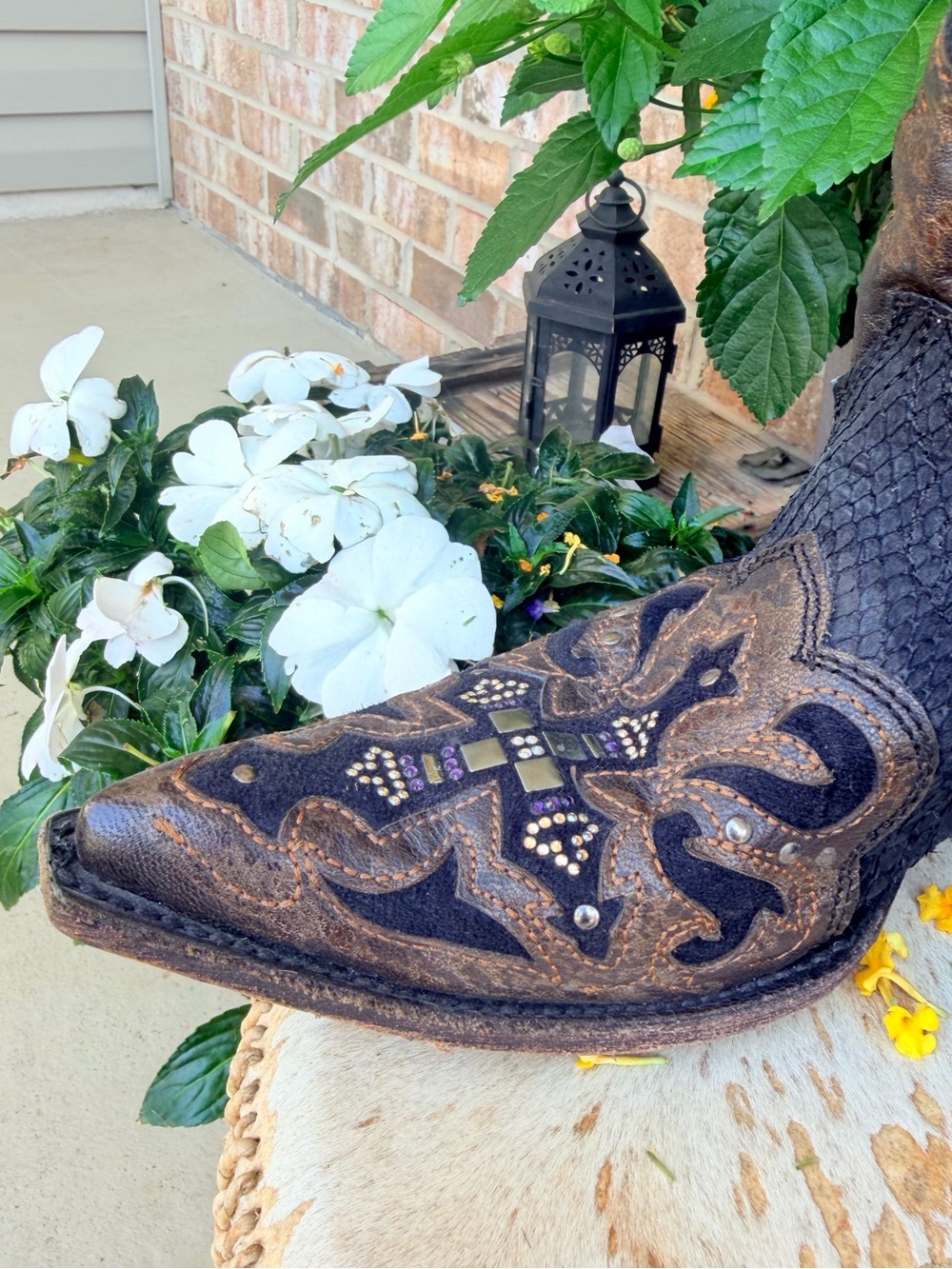 Corral Swarovski Crystal Embellished Cross Python Leather Cowboy Boots Black 8.5 - Picture 5 of 16